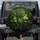 Monstera Leaves Tropical Jungle Rainforest - Plant Lover Home Decor Gift Spare Tire Cover - 1