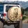 Majestic White Lion Golden Roses Crescent Moon Stars - Wildlife Decor Gift Spare Tire Cover - 3