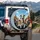 Brindle Fawn Greyhounds Open Road Travel - Adventure Dog Lover Gift Spare Tire Cover - 3