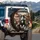 Tuxedo Cats Luxury Vehicle Interior Landscape - Travel Essentials for Cat Owners Spare Tire Cover - 3