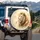 Confident White Lion Golden Eyes Golden Mane Radiant Aura - Wildlife Lover Gift for Safari Spare Tire Cover - 3