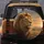 Majestic Lion African Savanna Sunset - Wildlife Lover Gift Spare Tire Cover - 5