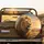 Majestic Lion African Savanna Sunset - Wildlife Lover Gift Spare Tire Cover - 2