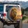 Majestic Lion African Savanna Sunset - Wildlife Lover Gift Spare Tire Cover - 3