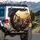 Hippos Driving Car Savanna Adventure - Wildlife Lover Gift Spare Tire Cover - 3