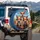 Red Foxes Headphones Iced Beverage Desert Road - Fox Lover Travel Gift Spare Tire Cover - 3