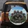 Six Gorillas Sunglasses Roaring Silverback Jungle Peaks - Wildlife Lover Gift Spare Tire Cover - 5