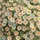 duiyfppz/products/6a1eb82e8abecf5759c4c2da/gallery/cFTzlFdyTx