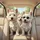Westies Sunglasses Pink Bow Car Journey - Dog Lover Gift Spare Tire Cover - 6