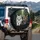 Maine Coon Cats Leather Seating Control Panel Forest Path - Cat Lover Gift Spare Tire Cover - 3