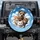 Four Curious Wide-Eyed Cats Dog Group Brilliant Blue Sky Clouds - Pet Lover Gift Spare Tire Cover - 1