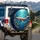 Majestic Golden Whale Gem Fish Deep Ocean Coral - Ocean Lover Gift Spare Tire Cover - 3