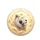 White Lion Head Luminous Golden Eyes Golden Mane - Wildlife Lover Gift for Lion Lovers Spare Tire Cover - 4