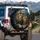Majestic Lion Lioness Golden Mane Jungle - Wildlife Lover Gift Spare Tire Cover - 3
