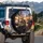 Spectacled Orange Tabby Cats City Drive - Vehicle Decor Gift for Cat Lovers Spare Tire Cover - 3