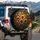 Vibrant Sunflowers Lush Botanical Garden - Home Decor Gift for Garden Lover Spare Tire Cover - 3