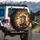 Lion Crown of Thorns Crosses Doves God is GOOD - Christian Faith Gift Spare Tire Cover - 3