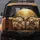 Sloth Group Portrait Car Interior Autumn Foliage - Wildlife Lover Gift Spare Tire Cover - 5