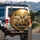 Sloth Group Portrait Car Interior Autumn Foliage - Wildlife Lover Gift Spare Tire Cover - 3