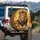 Majestic Lion Black Cat Lyotta - Wildlife Lover Home Decor Gift Spare Tire Cover - 3