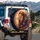 Majestic Lion Head Golden Mane Butterflies Floral - Wildlife Lover Gift Spare Tire Cover - 3