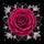 Fuchsia Rose Black Leaves White Starbursts - Luxury Home Decor Gift for Rose Lover Spare Tire Cover - 6