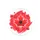 Canadian Maple Leaf with Smaller Leaves - Canada Day Heritage Gift for Canadian Patriot Spare Tire Cover - 4