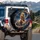 Majestic Luminous Golden Lion Cosmic Galaxy Nebula Stars - Wildlife Lover Gift Spare Tire Cover - 3