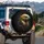 Majestic Golden Eagle Head Dark Mist - Wildlife Lover Gift for Eagle Admirers Spare Tire Cover - 3