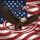 Bald Eagle American Flag - Independence Day Gift for Veterans Spare Tire Cover - 6