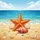 Sun-Drenched Golden Beach Starfish Conch Shell - Coastal Explorer Travel Gift Spare Tire Cover - 6