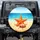 Sun-Drenched Golden Beach Starfish Conch Shell - Coastal Explorer Travel Gift Spare Tire Cover - 1
