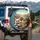 Anthropomorphic Cats Road Trip Adventure - Travel Essentials for Cat Owners Spare Tire Cover - 3