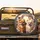 Pomeranian Dogs Engaging Eyes Interior Scene - Dog Lover Home Decor Lifestyle Gift Spare Tire Cover - 2