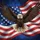 Bald Eagle American Flag - Independence Day Gift for Veterans Spare Tire Cover - 6
