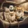 Smiling Pomeranian Dogs Car Interior - Luxury Vehicle Decor Gift for Dog Lover Spare Tire Cover - 6