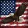 Bald Eagle American Flag - Independence Day Gift for Veterans Spare Tire Cover - 6