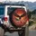 Bald Eagle American Flag Storm Clouds - Independence Day Gift for Veterans Spare Tire Cover - 3