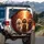 Three Poodles Autumn Forest Road Dappled Sunlight - Autumn Lover Gift for Poodle Owners & Drivers Spare Tire Cover - 3