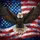 Bald Eagle American Flag - Independence Day Gift for Veterans Spare Tire Cover - 6