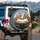 Curious Engaging Giraffe Pair Savanna Landscape - Wildlife Lover Gift Spare Tire Cover - 3