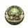 Realistic Joyful Sloths Driving Tropical Jungle Canopy Dashboard - Adventure Lover Gift Spare Tire Cover - 4