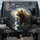Grizzly Bear Grand Canyon Wilderness - Outdoor Adventure Gift Spare Tire Cover - 1