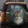 Curious Domestic Tabby Cat Emerald Green Eyes Portrait - Cat Lover Automotive Gift Spare Tire Cover - 5