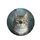 Curious Domestic Tabby Cat Emerald Green Eyes Portrait - Cat Lover Automotive Gift Spare Tire Cover - 4