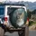 Curious Domestic Tabby Cat Emerald Green Eyes Portrait - Cat Lover Automotive Gift Spare Tire Cover - 3