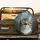 Curious Domestic Tabby Cat Emerald Green Eyes Portrait - Cat Lover Automotive Gift Spare Tire Cover - 2