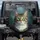 Curious Domestic Tabby Cat Emerald Green Eyes Portrait - Cat Lover Automotive Gift Spare Tire Cover - 1