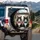 Tuxedo Cats Pink Bow Blue Bowtie Luxurious Car Interior - Pet Lover Gift for Cat Owners Spare Tire Cover - 3