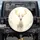 White Stag Golden Antlers Golden Eyes Golden Flames Golden Energy - Wildlife Lover Gift Spare Tire Cover - 1